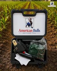 American Bulls Cotton Picking
