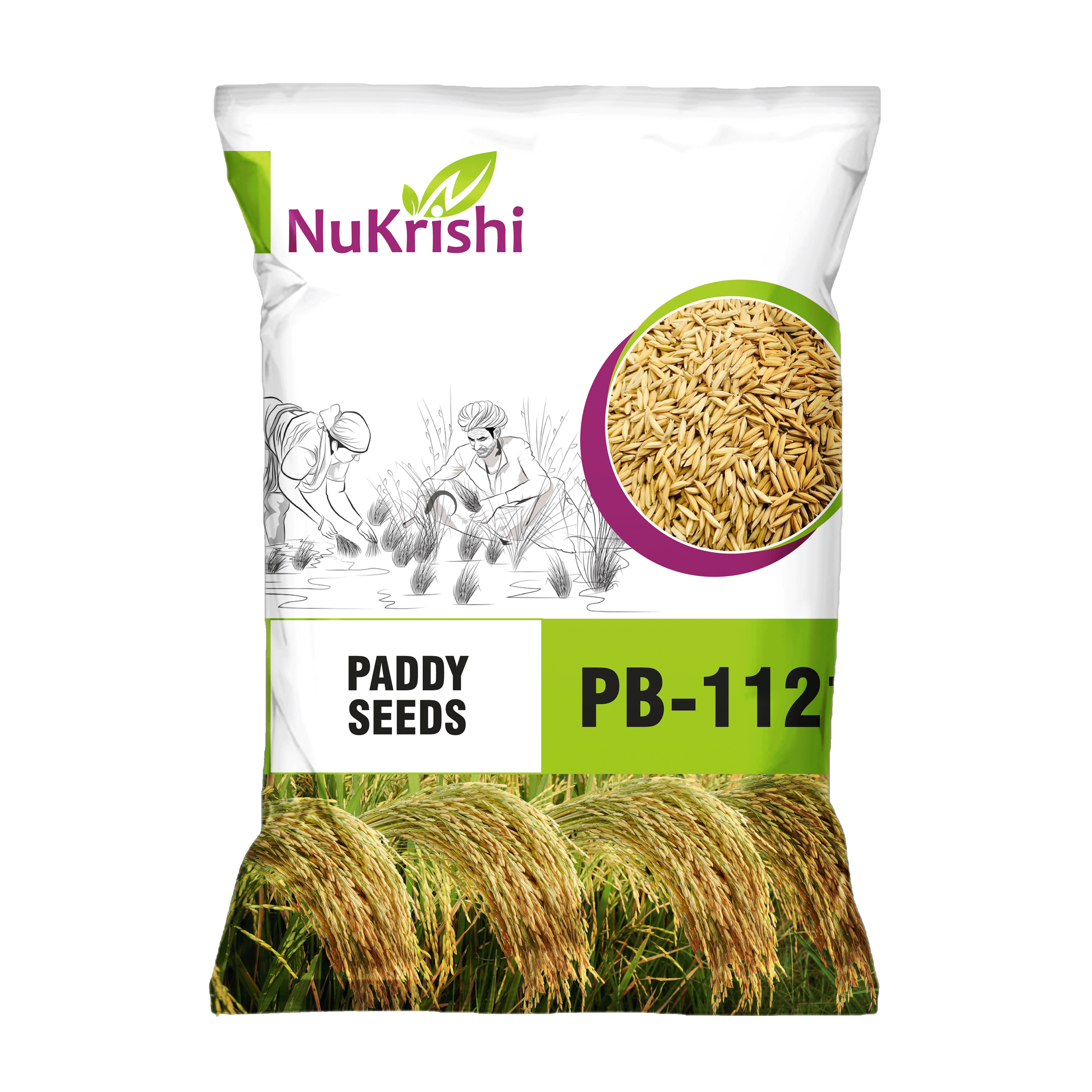 PB-1121(PADDY)