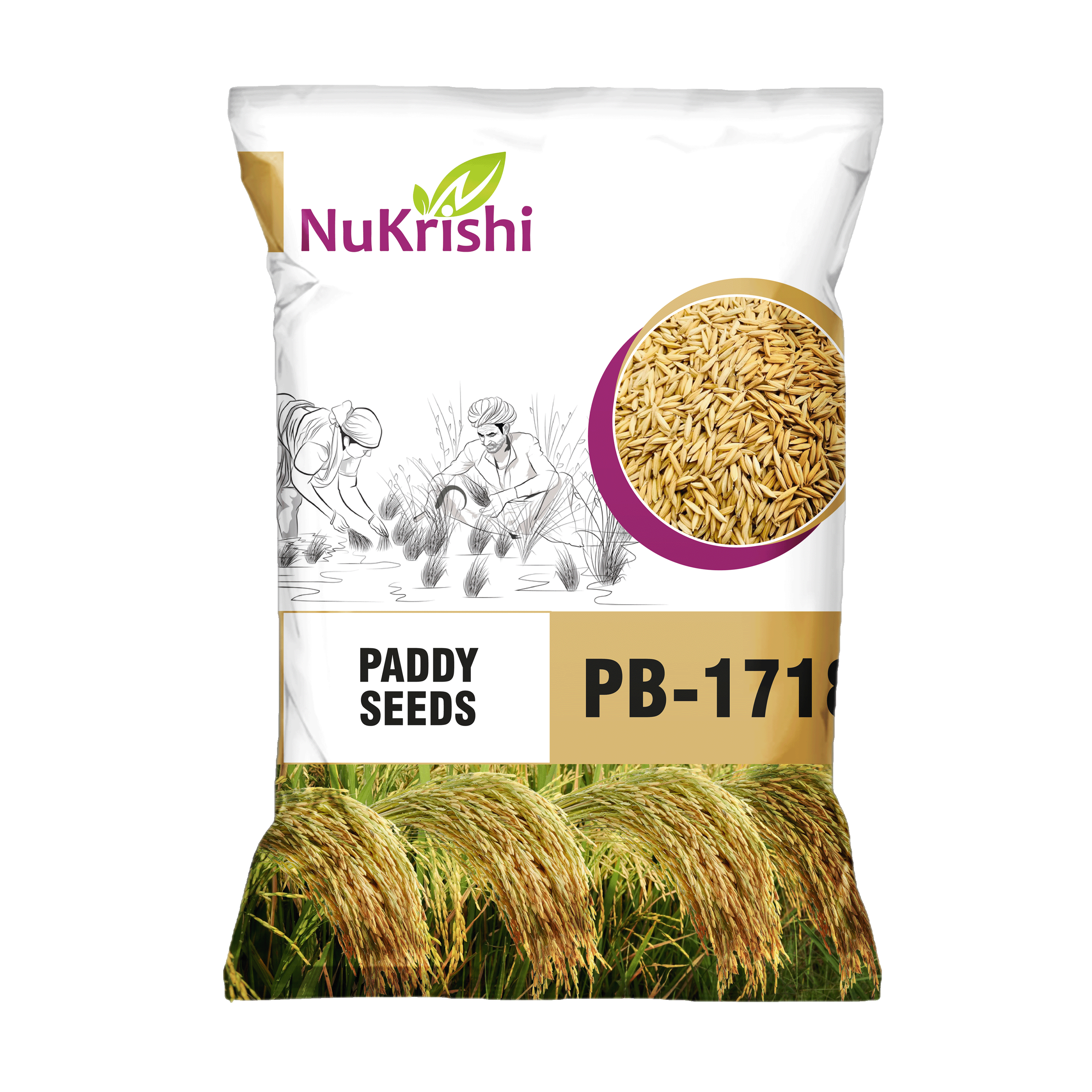 PB-1718(PADDY)