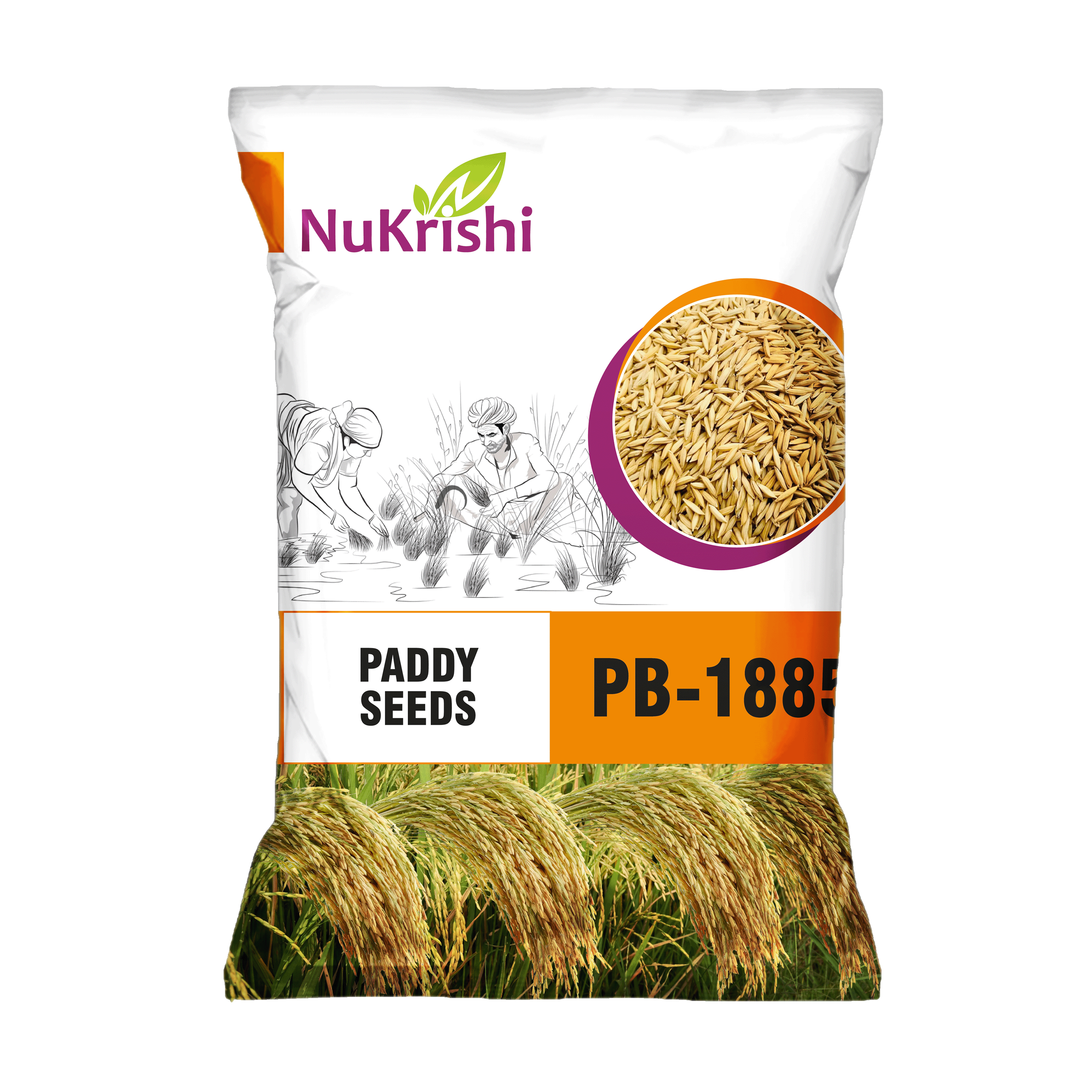 PB-1885(PADDY)