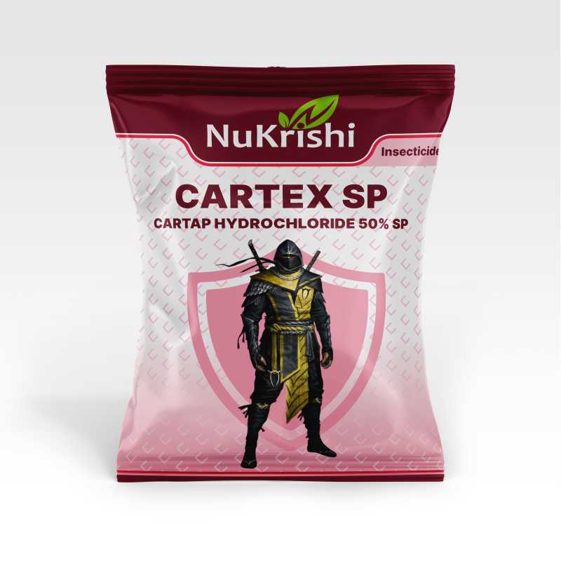 Cartex- SP