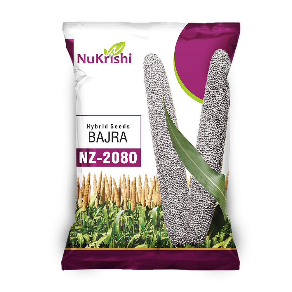 NZ-2080 (BAJRA)