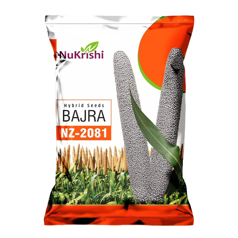 NZ-2081(BAJRA)