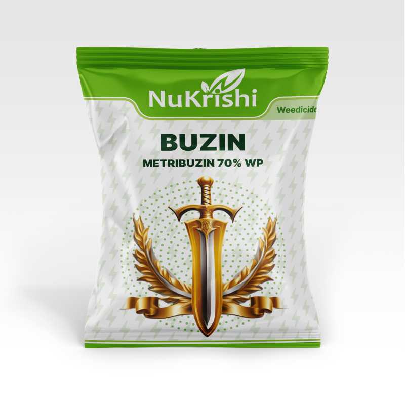 Buzin