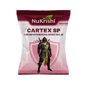 Cartex- SP