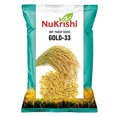 GOLD - 33 (PADDY RESEARCH)