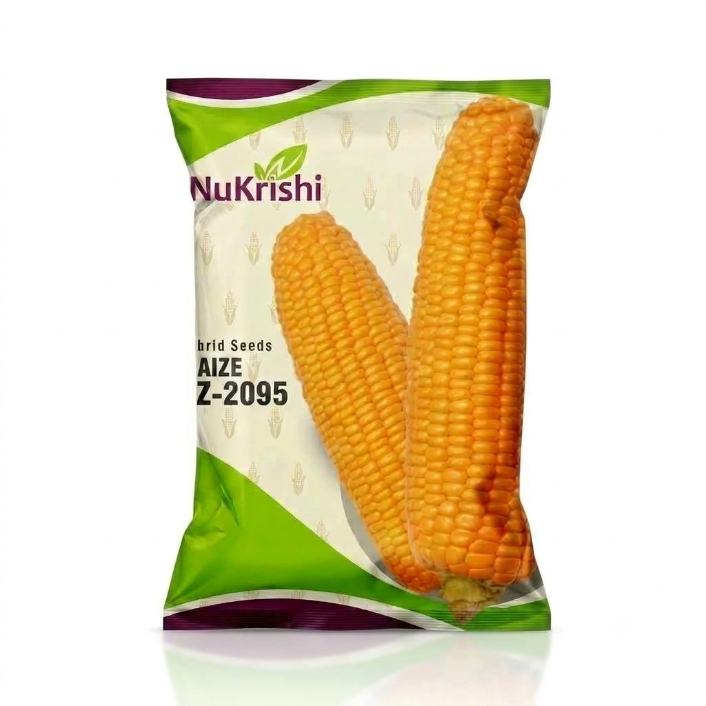 NZ-2095(MAIZE)