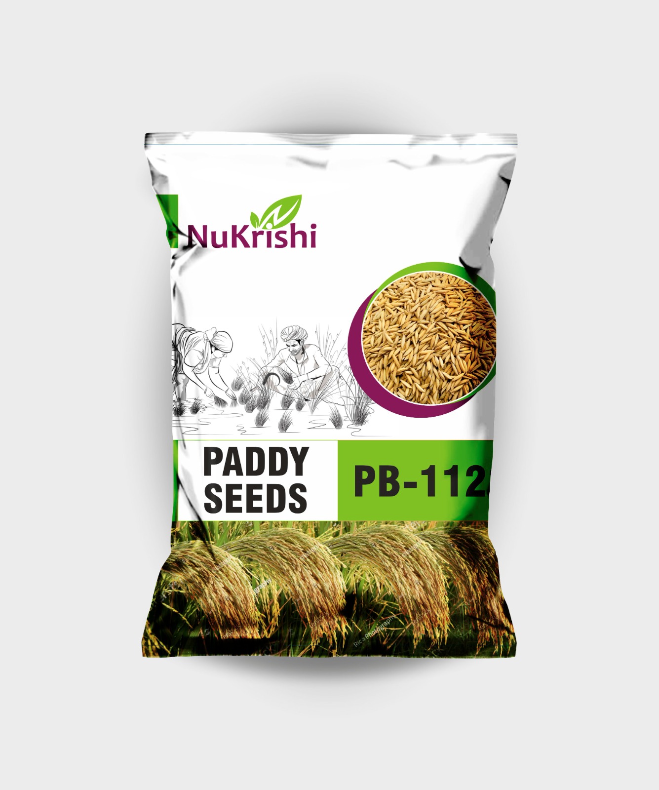 PB-1121(PADDY)