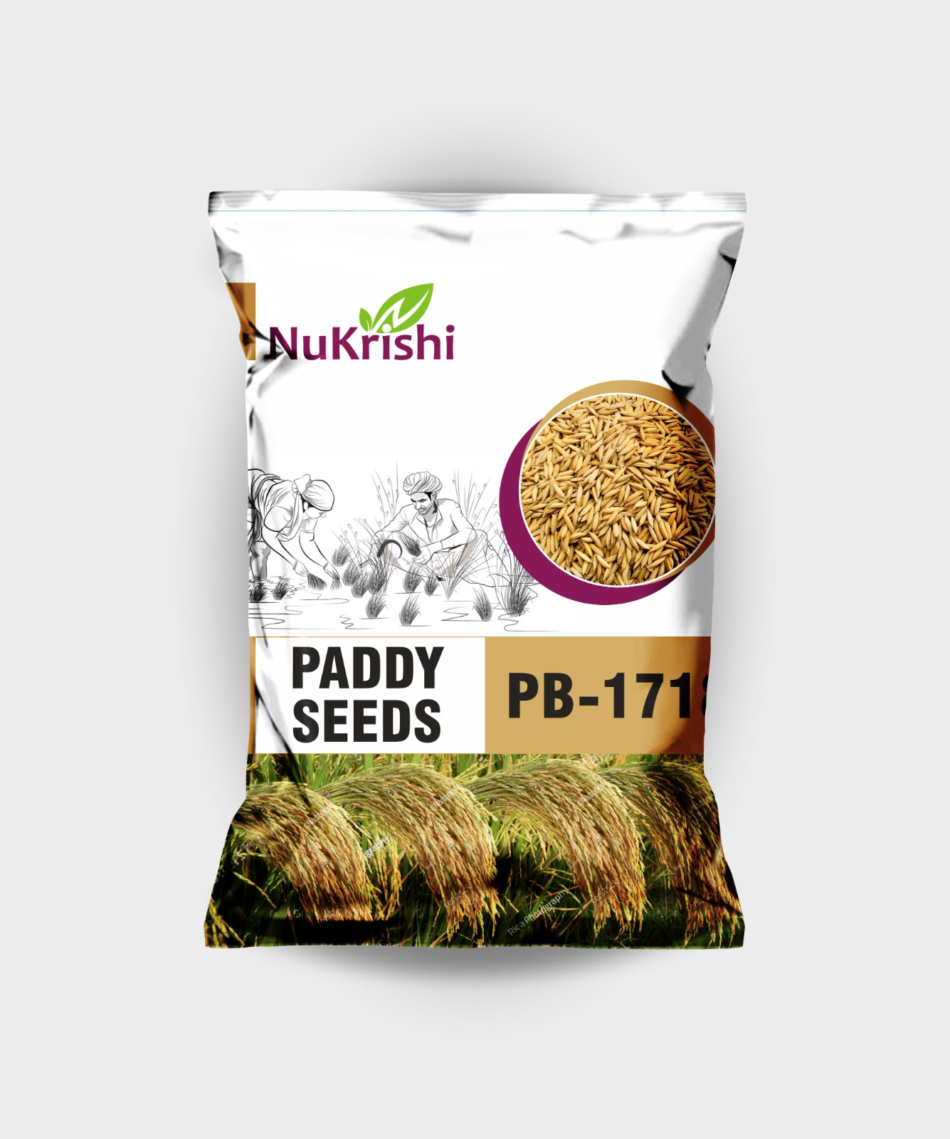 PB-1718(PADDY)
