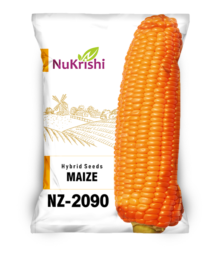 NZ-2090(MAIZE)