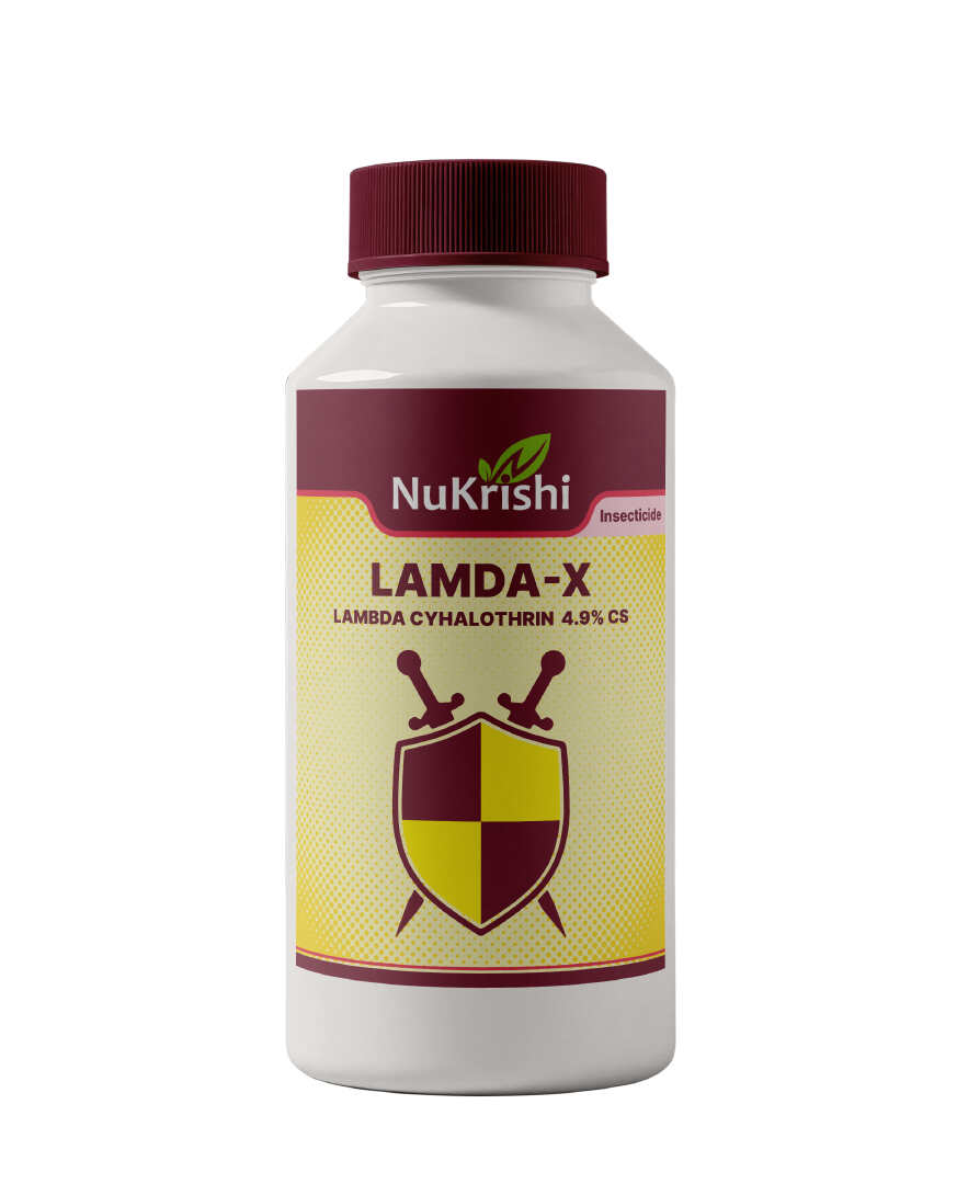 Lamda-X