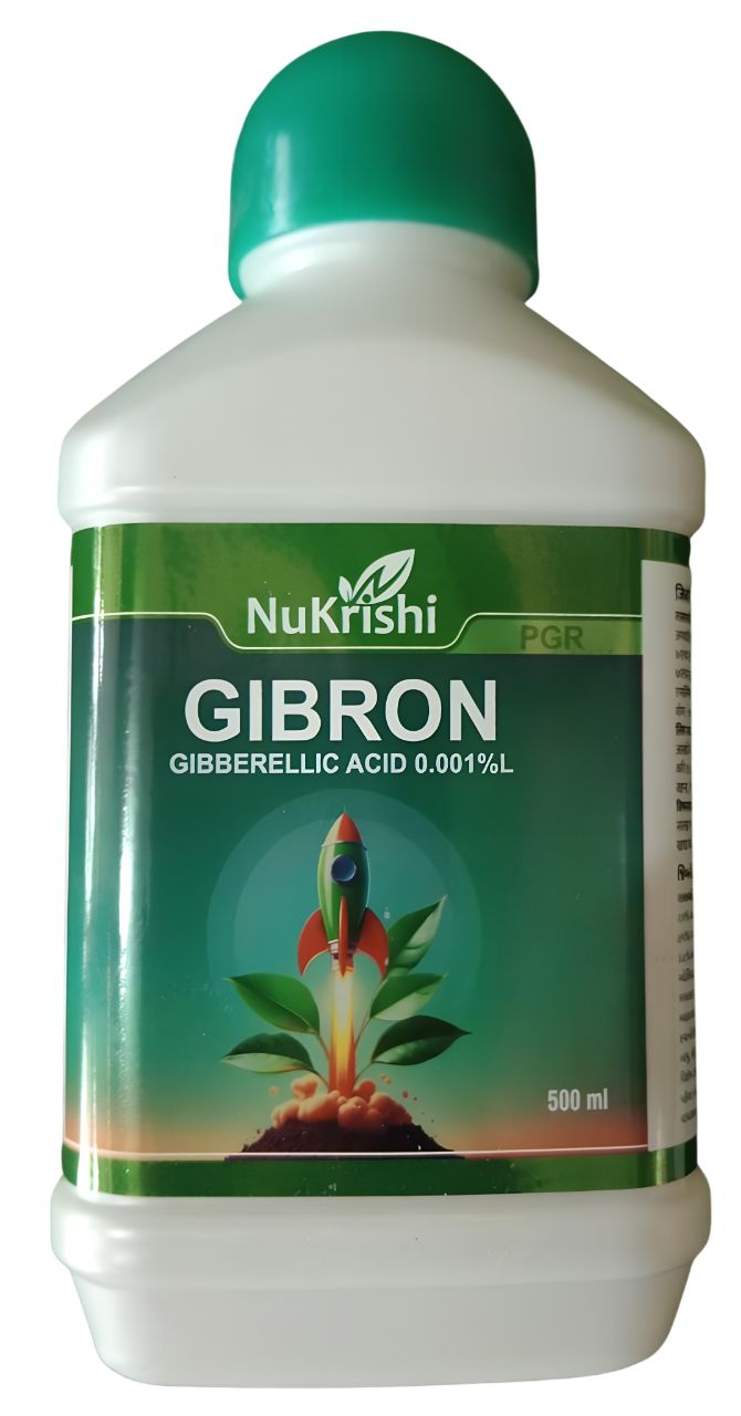 Gibron
