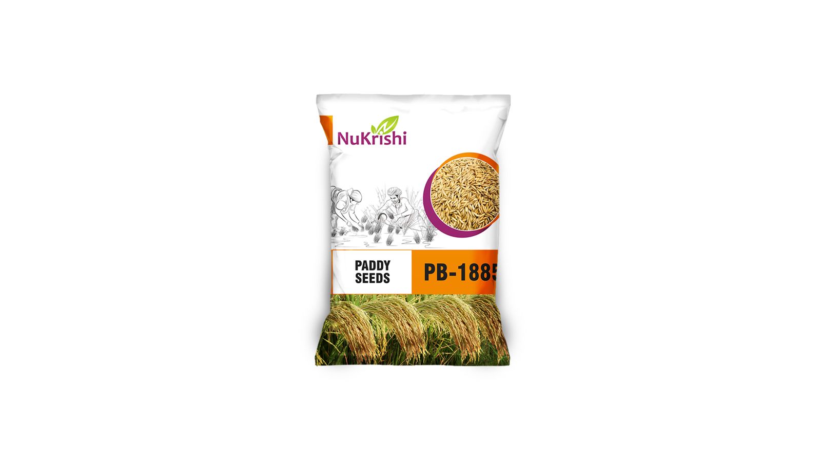 PB-1885(PADDY)