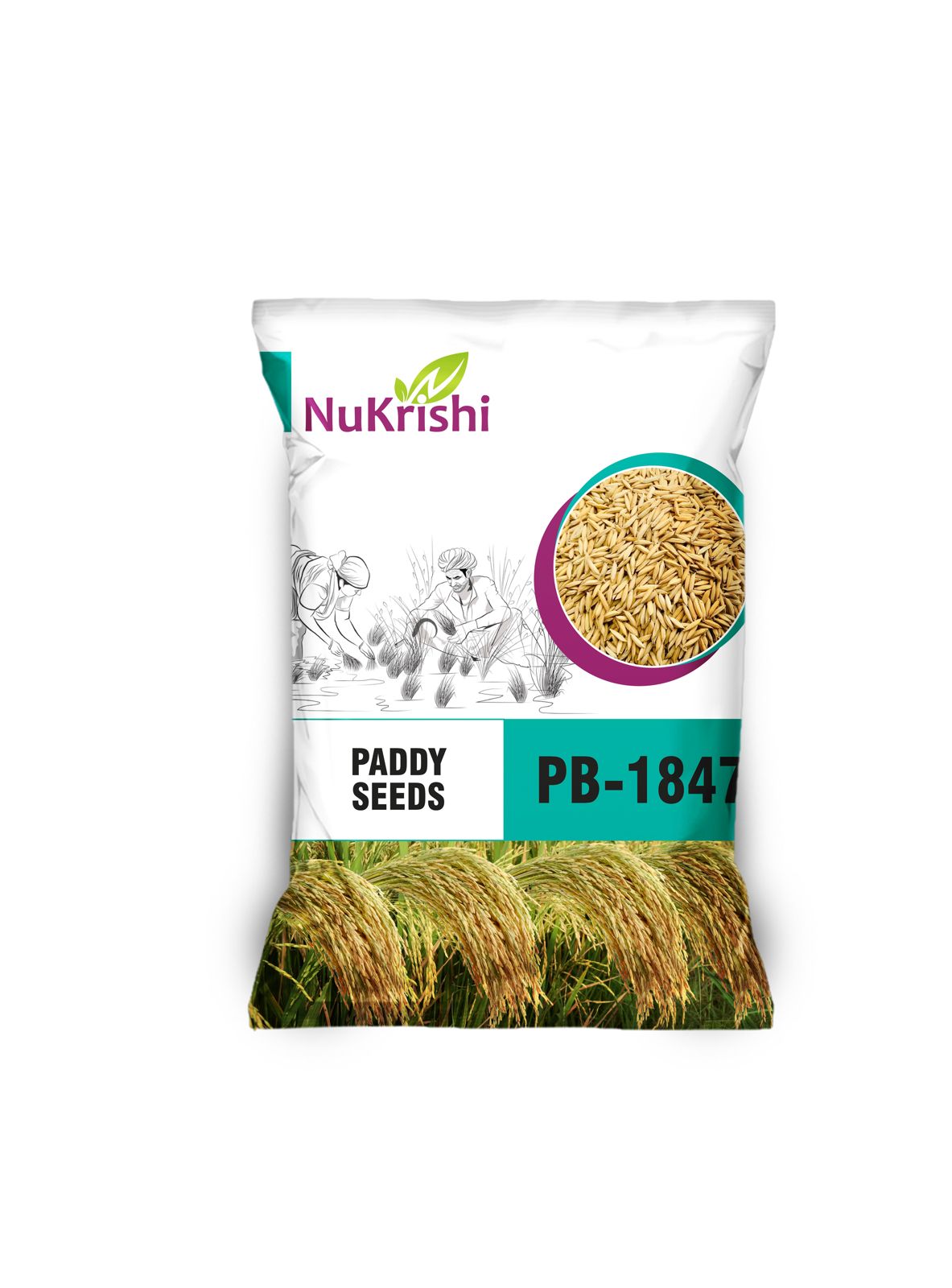PB-1847(PADDY)