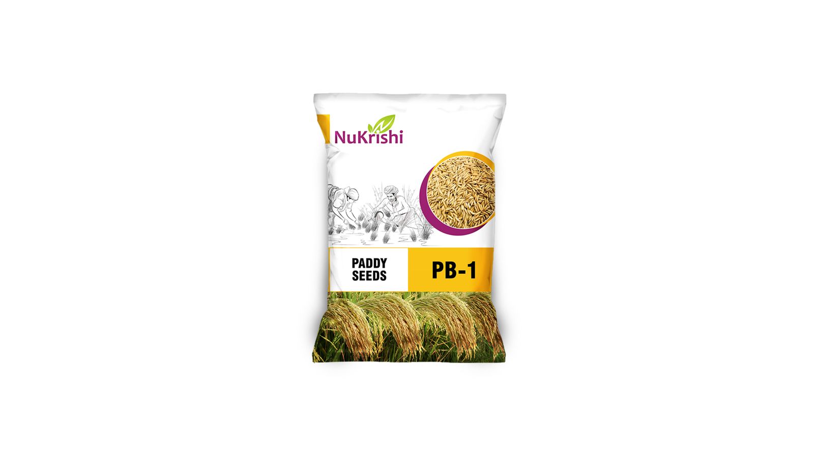 PB-01(PADDY)