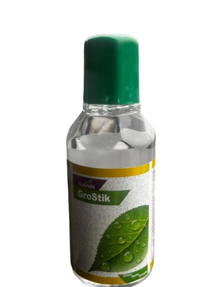 Grostik