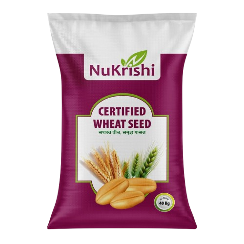 Certified Wheat Seed