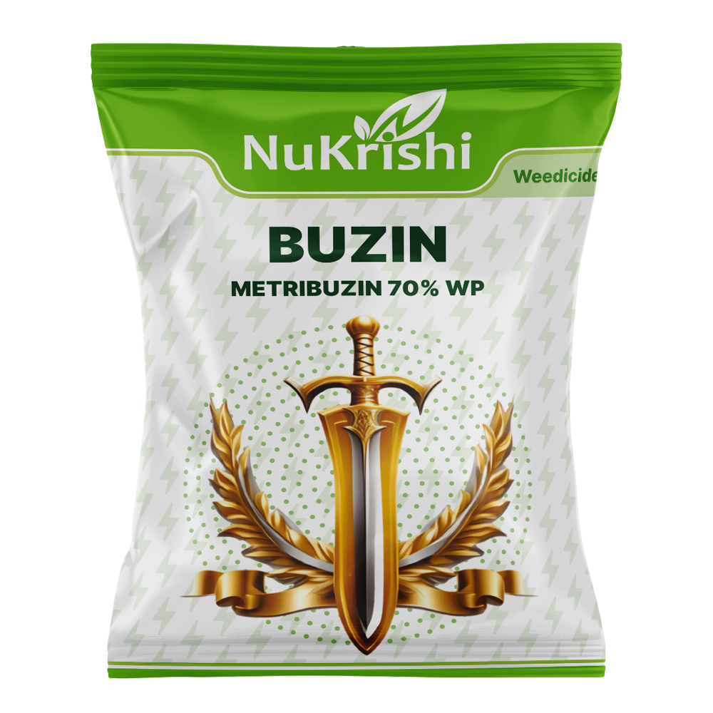 Buzin
