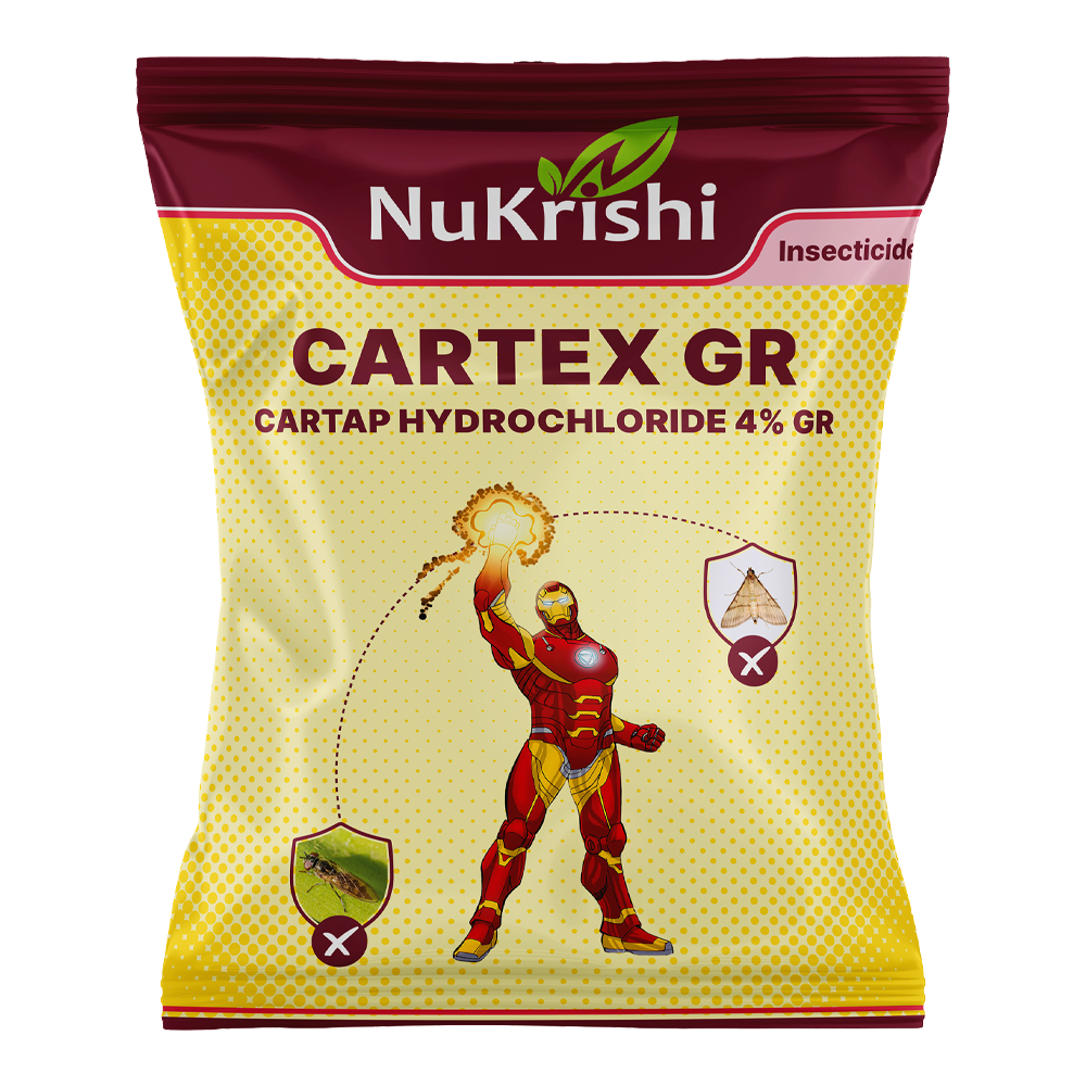 Cartex- GR