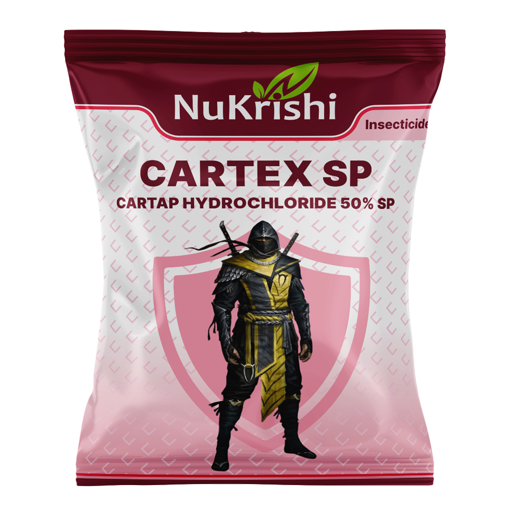Cartex- SP