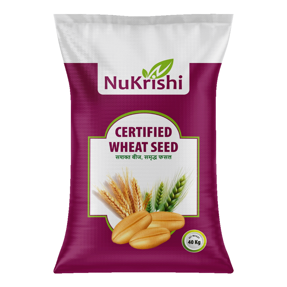Certified Wheat- DBW 187