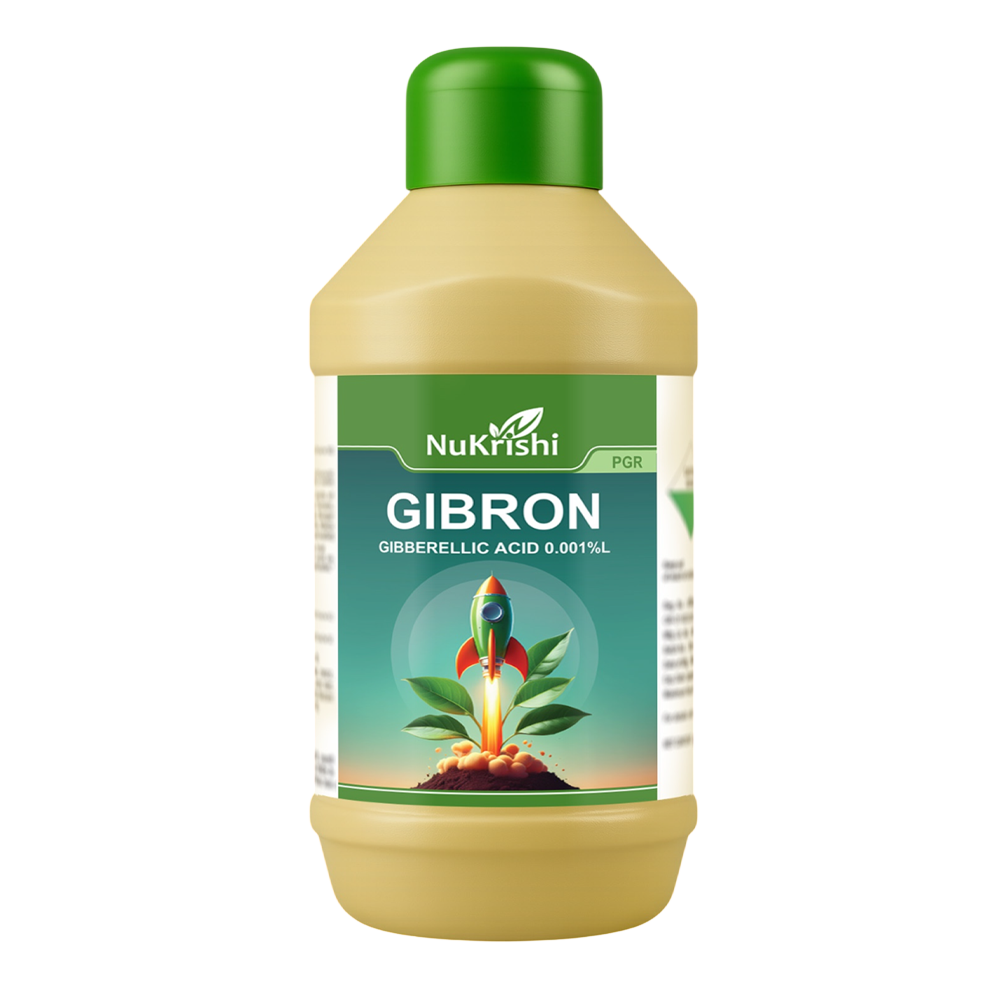 Gibron