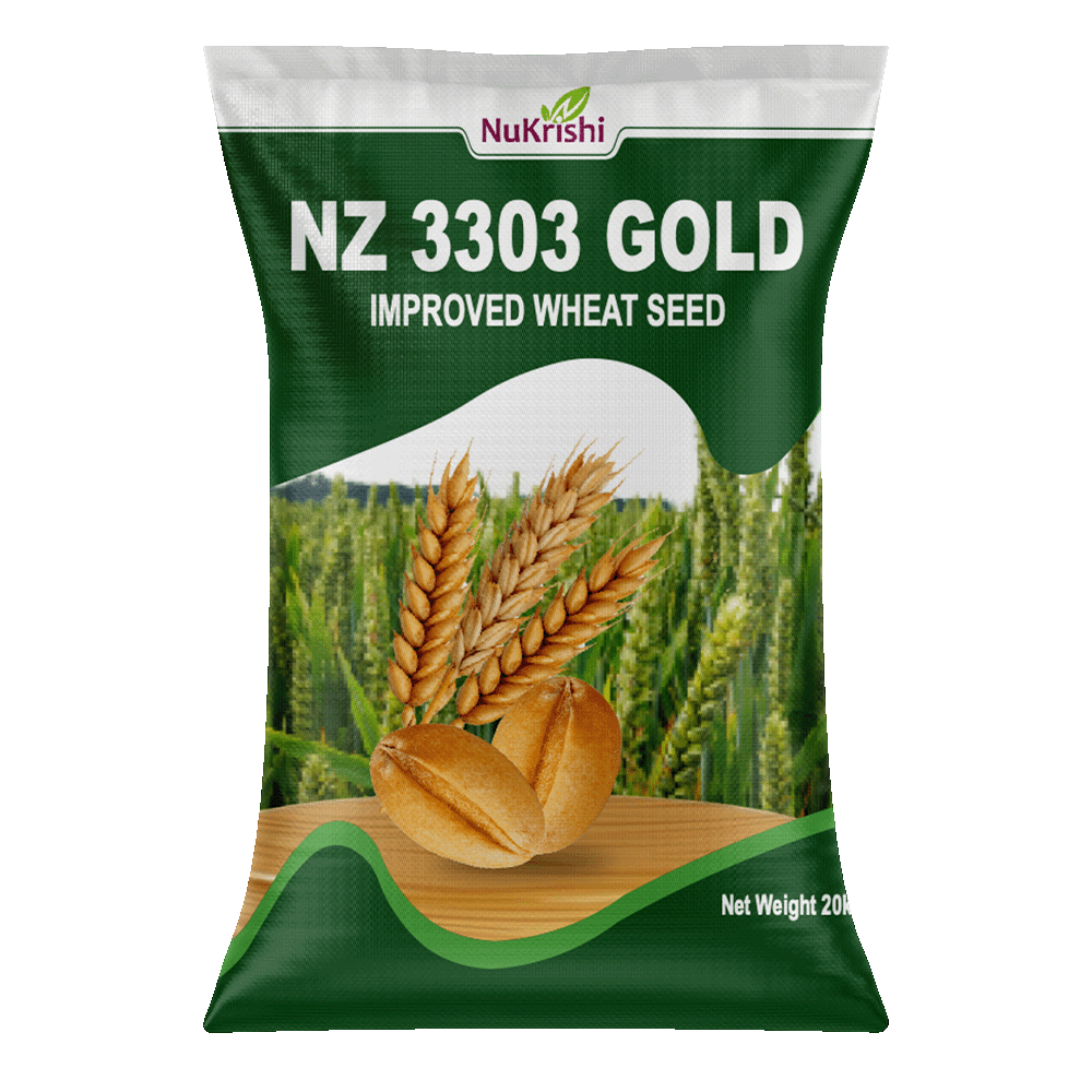 IMPROVED WHEAT SEED- NZ 3303 GOLD