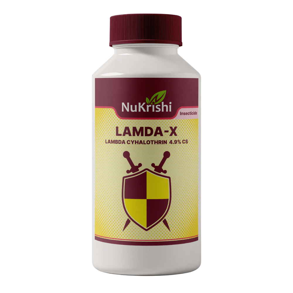 Lamda-X