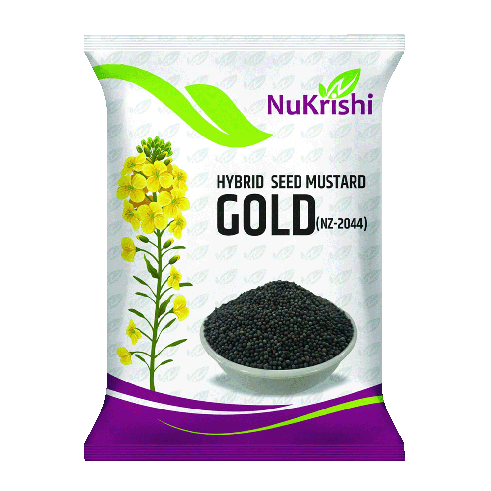 NZ-2044(Mustard Gold)
