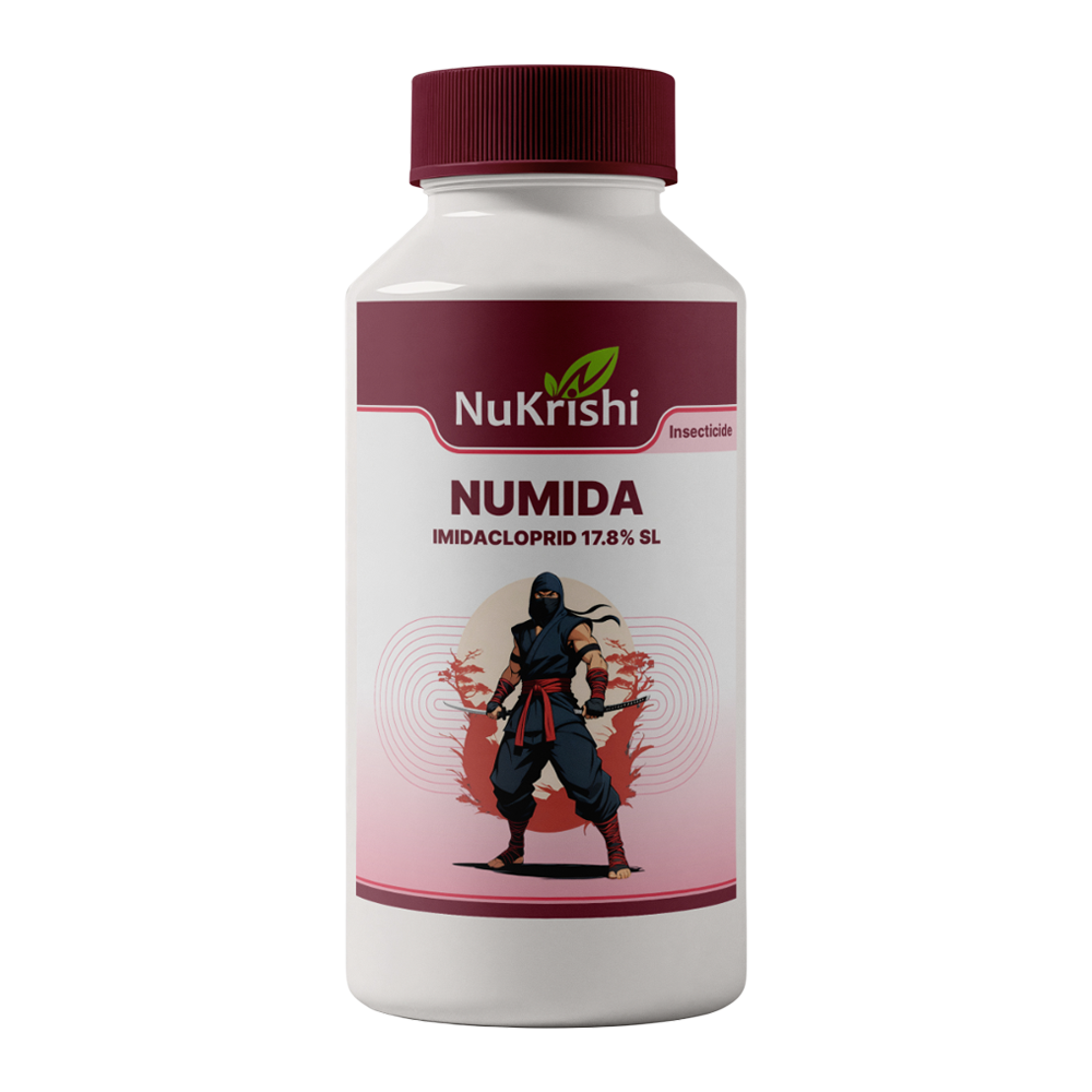 Numida