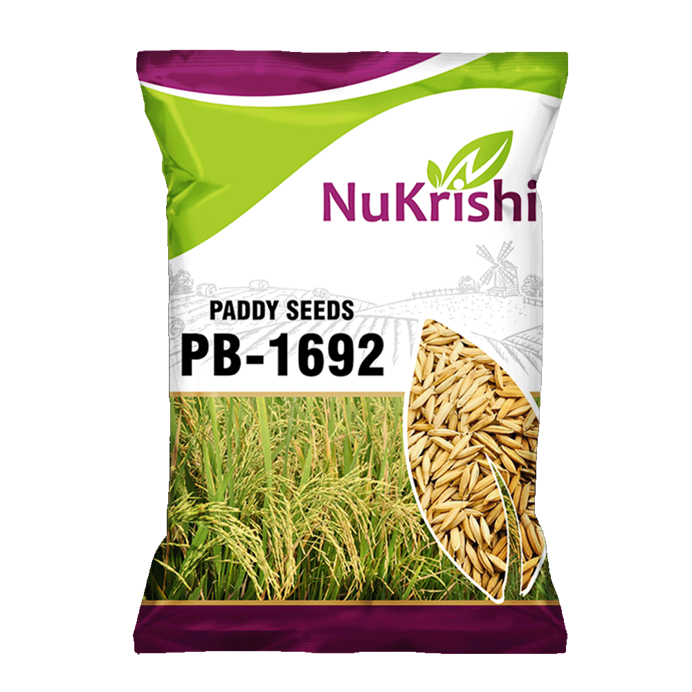 PB-1692(PADDY)