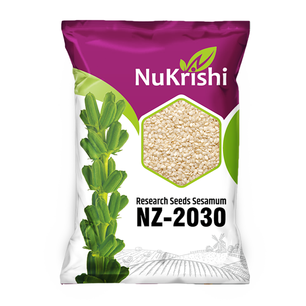NZ-2030(SESAMUM)