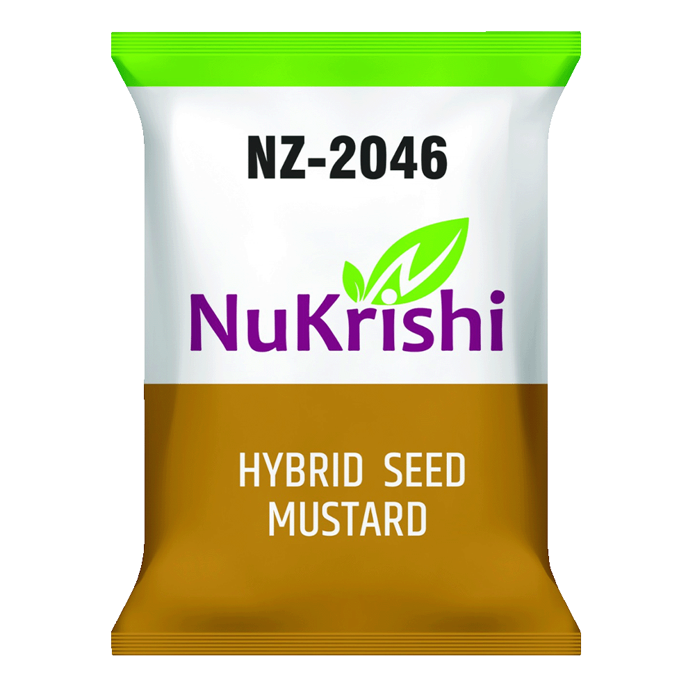 NZ-2046 (MUSTARD)