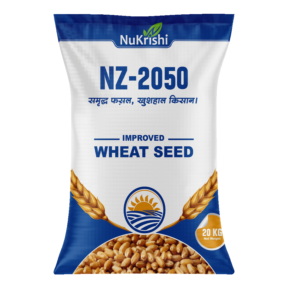 IMPROVED WHEAT SEED- NZ-2050