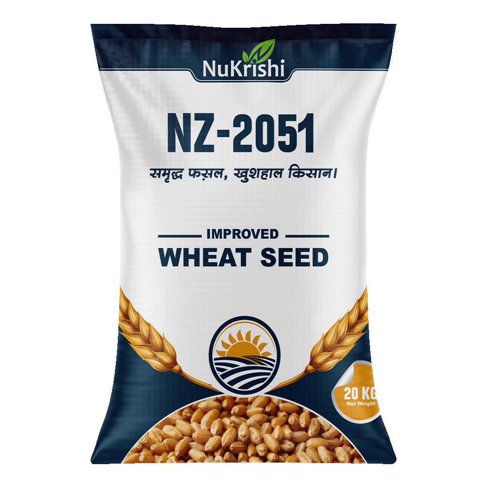 IMPROVED WHEAT SEED- NZ-2051
